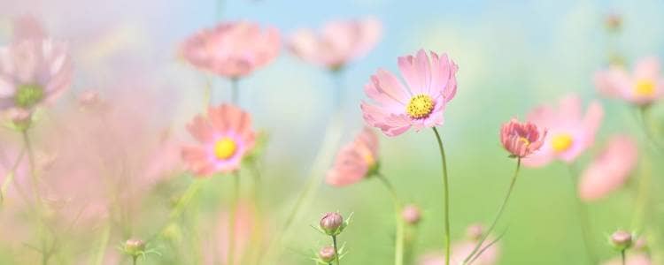 仕事の悩みのカウンセリングで生かされています