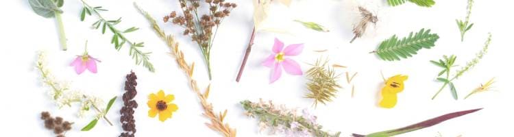 仕事の悩みでカウンセリングを受けたお客様の声