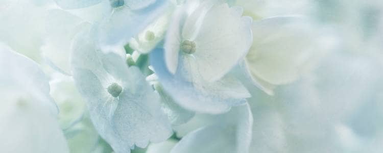 こんにちは。キャリアコンサルタントの岩田彩です。