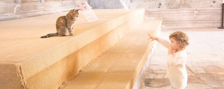 職場の人間関係を相談すると距離が取れる